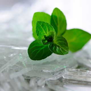 Menthol